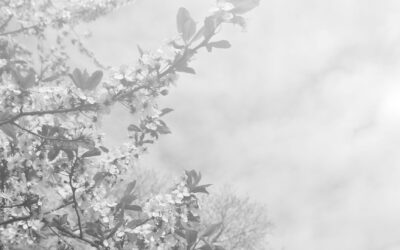 Mindful Living